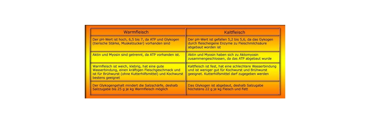 Warmfleischverarbeitung - 